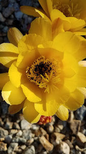 Meet your Posher, Tara